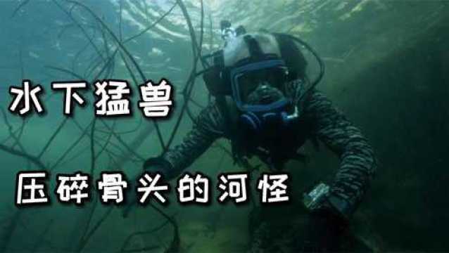 河中巨怪:能将人骨头挤碎的水下巨型猛兽!让杰叔都惧怕三分!纪录片