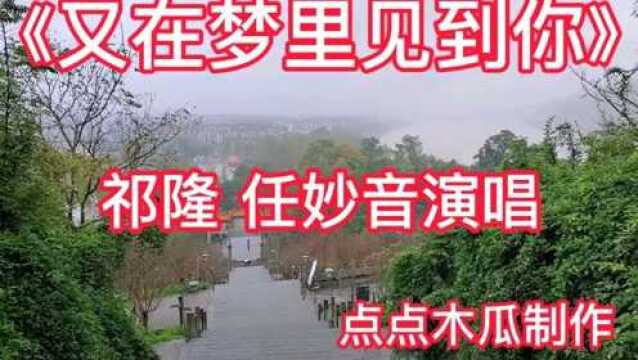 《又在梦里见到你》祁隆 任妙音演唱