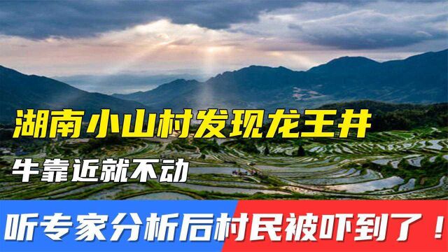 湖南小山村发现龙王井,牛靠近就不动,听专家分析后村民被吓到了