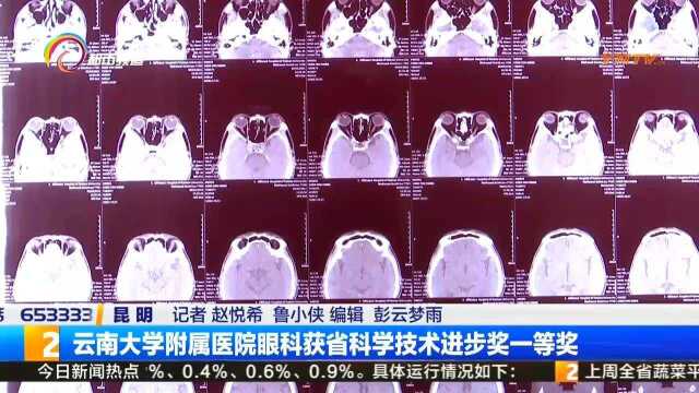 云南大学附属医院眼科获省科学技术进步奖一等奖