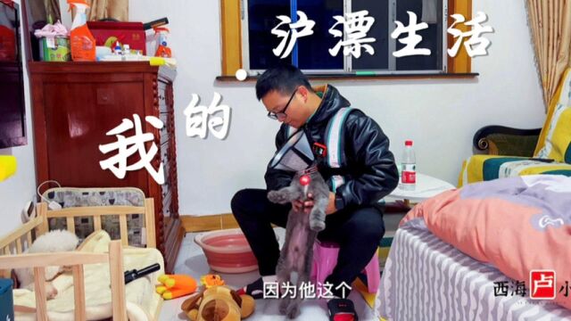 小鱼代驾vlog | 自媒体账号又被封了!小海病了!感觉生活好难啊