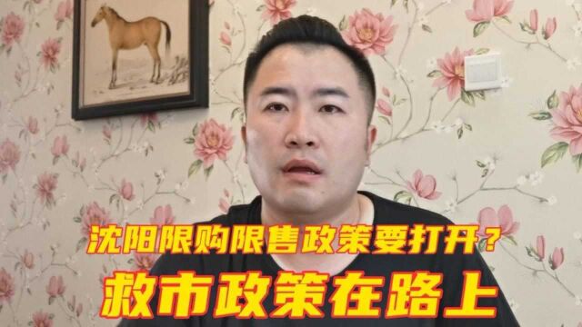 沈阳限购限售政策要打开?红头文件不能出台,但救市政策在路上!