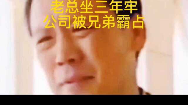 老总坐牢三年公司被兄弟霸占