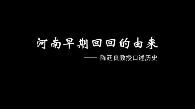 河南早期回回的由来——陈廷良教授口述历史《一》