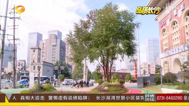 长沙开福区建成5处“口袋公园” 见缝插针造绿 打造街头靓丽景观