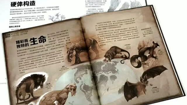 生物学家倾情讲述“地球46亿年”