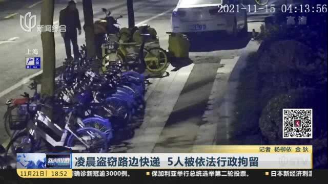 凌晨盗窃路边快递 5人被依法行政拘留