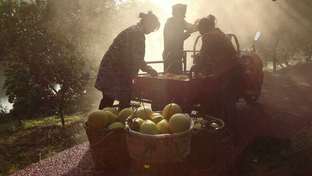 “乡村振兴 文艺助力”行走长寿摄影采风活动花絮