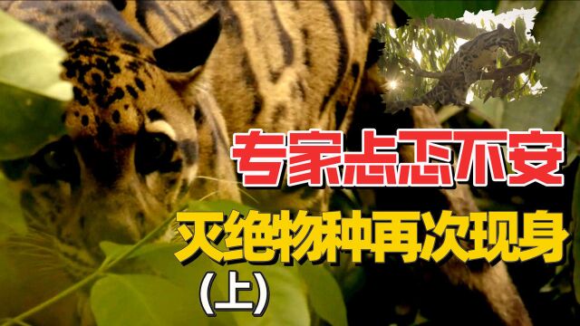 专家去野外探索,竟发现了已经灭绝的生物?回收仪器时被吓了一跳#聚星计划9~11月