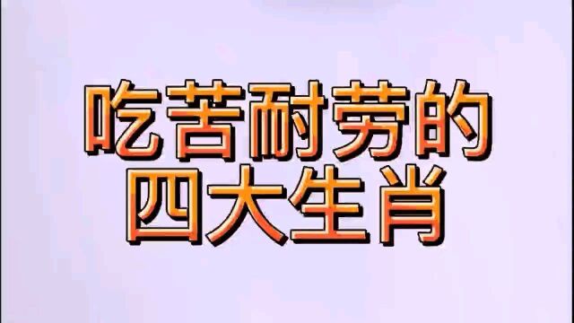 吃苦耐劳的四大生肖,看看有你吗?吃得苦中苦,方为人上人!!!