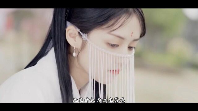 MV《半世流离》鸾音社