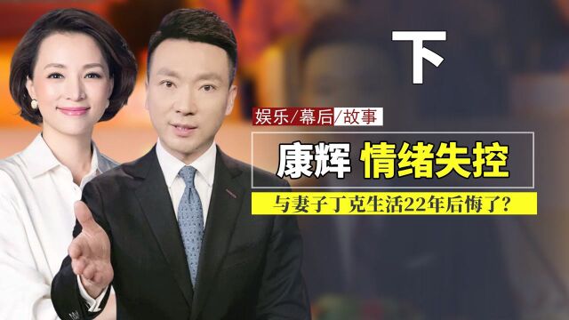 康辉首登《朗读者》情绪失控,丁克22年后悔了?董卿一句话让他破防