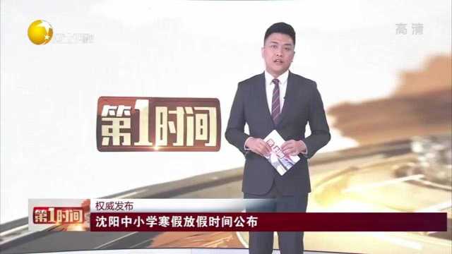 沈阳中小学寒假放假时间公布