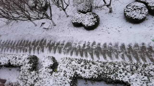 白茫茫一片!烟台喜迎冬雪,壹点情报员:这才是冬天应有的样子