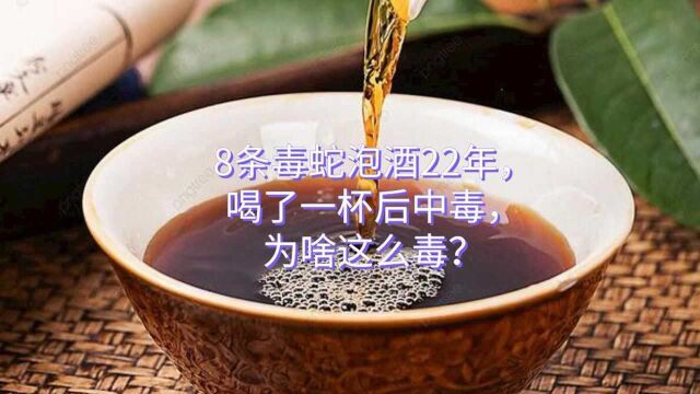 8条毒蛇泡酒22年,喝了一杯后中毒,为啥这么毒?