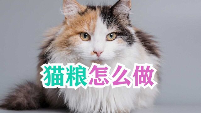 猫粮怎么做