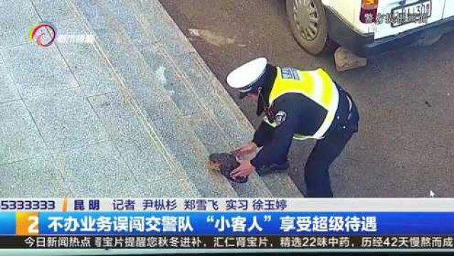 不办业务误闯交警队 “小客人”享受超级待遇