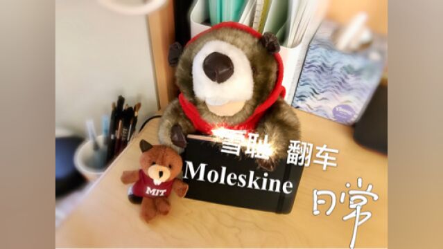 【水彩画材】Moleskine便携本开本测试 ,这是一个无法拯救的翻车视频