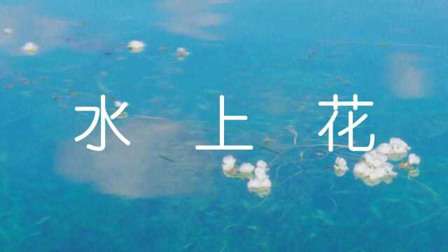 《水上花》朱宝华 演奏