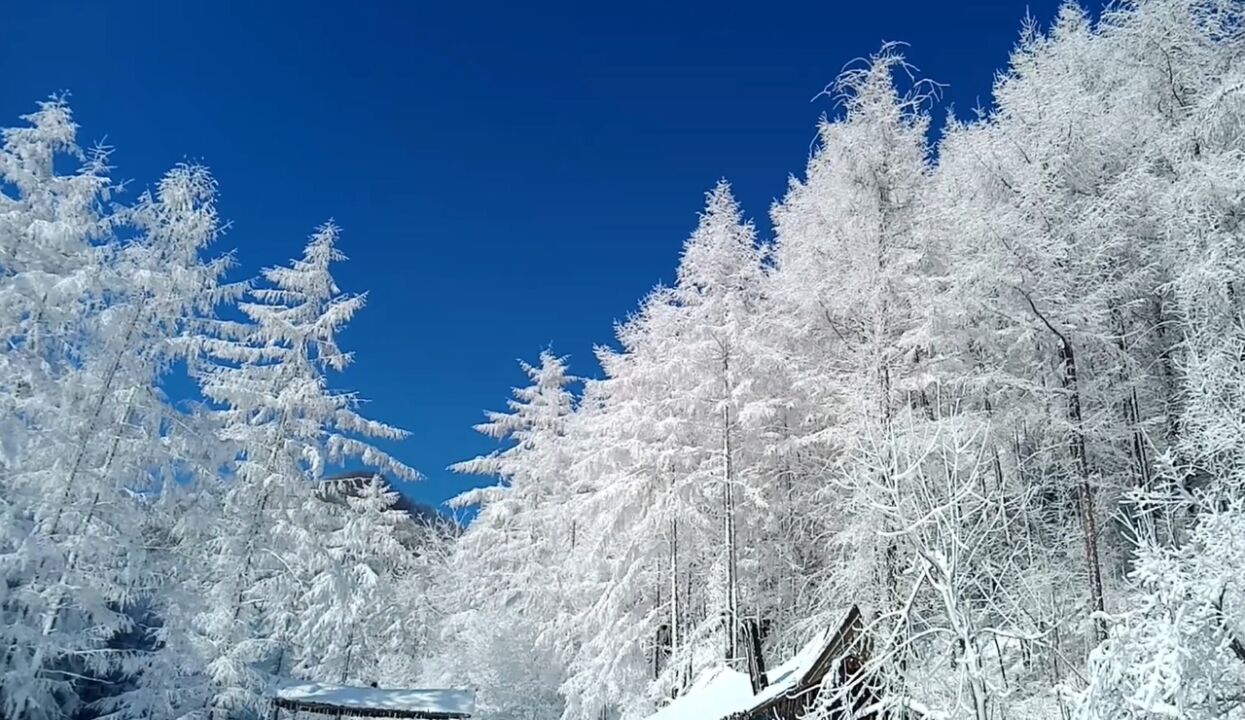 美轮美奂的人间仙境,走进河南栾川看雪景