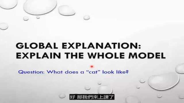 【机器学习2021】机器学习模型的可解释性(Explainable ML)(下)–机器心中的猫长什么样子?字幕