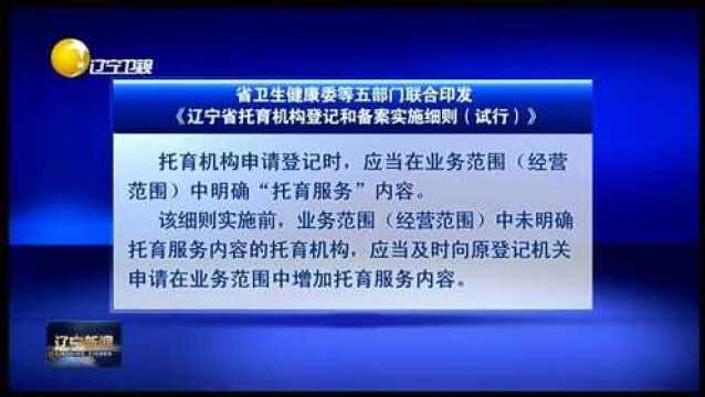 《辽宁省托育机构登记和备案实施细则(试行)》