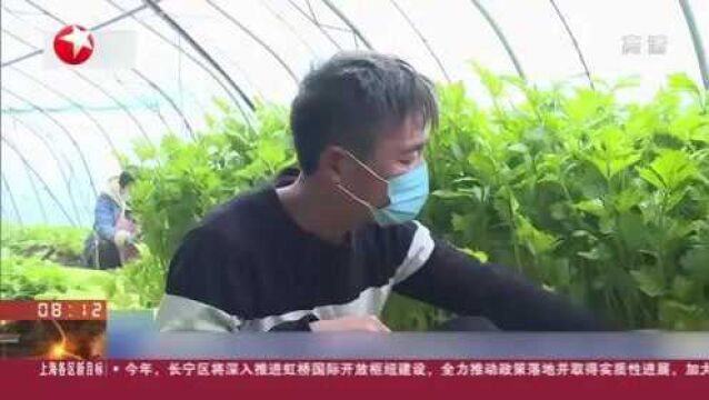 河南滑县:多方联系销路 解决农产品销售运输问题