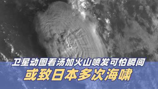 卫星动图看汤加海底火山喷发可怕瞬间 或致日本多次海啸