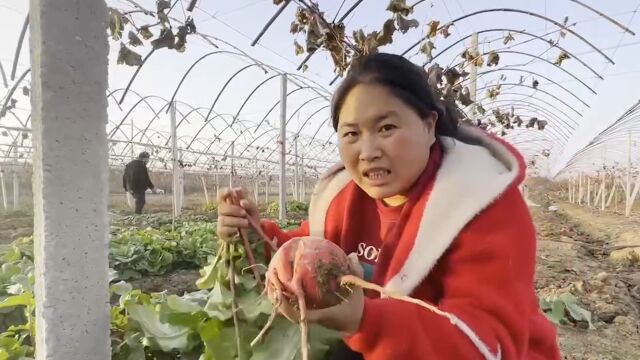 陈说美食:胖妹做的肥肠太馋人了,从村妇逆袭为百万美食主播