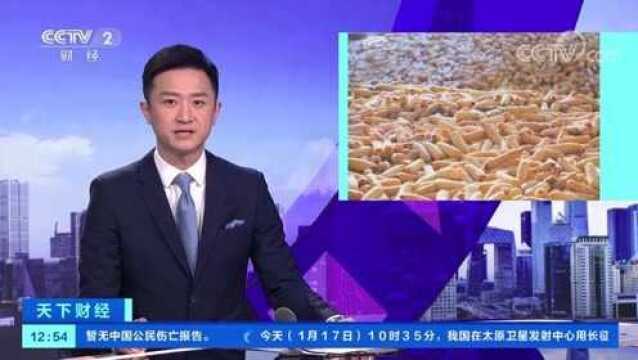 央视新闻丨吉林:粮食银行 确保粮食颗粒归仓