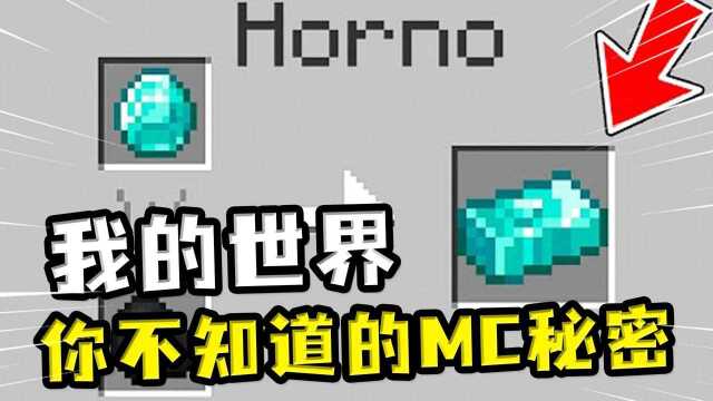 我的世界:不知道的MC秘密?骑小猪能穿墙,玩家能在水底钓鱼