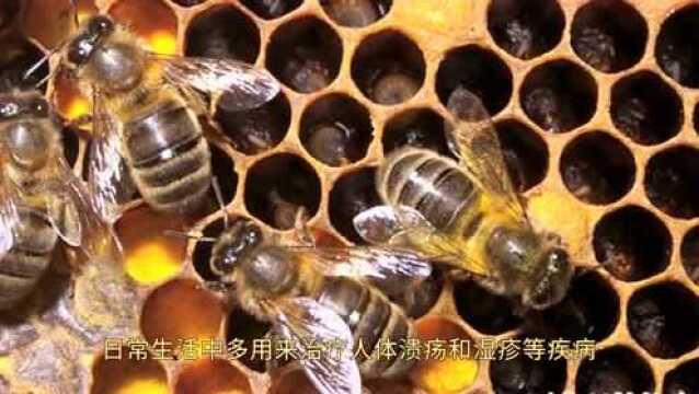 食用蜂蜡有什么作用呢?蜂蜡适合哪些人群?