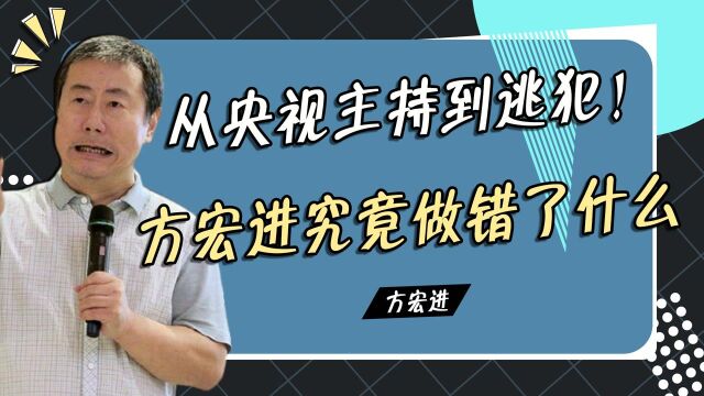 从央视主持到逃犯!连女儿都不认可他,方宏进究竟做错了什么?