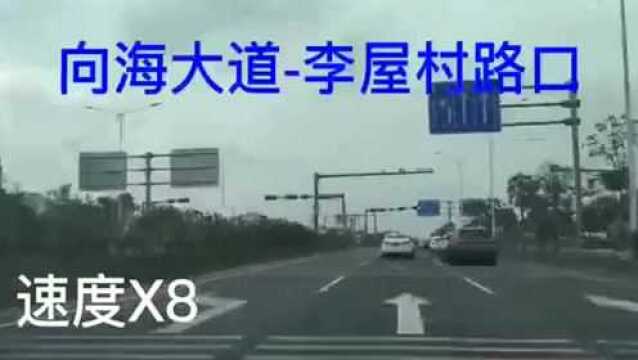 北海向海大道“超长”绿波带来了!这样走最顺畅!