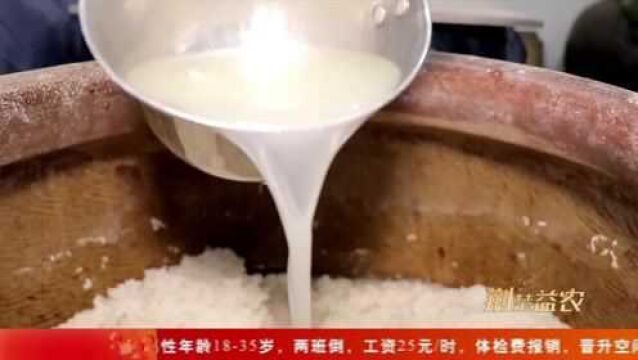 荆楚益农 | 匠心钻研30多年 巾帼酿酒师传承舌尖上的非遗