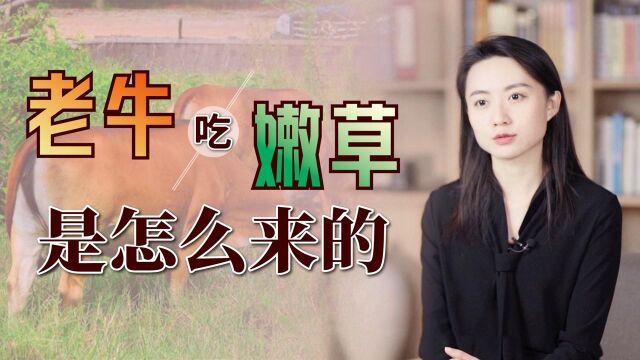 俗语“老牛吃嫩草”,背后有啥说法呢?历史上有哪些出名事件?