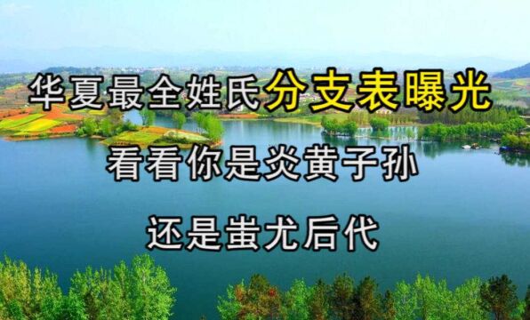 华夏最全姓氏分支表曝光:看看你是炎黄子孙,还是蚩尤后代?