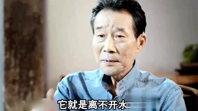 李雪健:从艺40年获33次影帝,让胡歌惭愧,今反被小鲜肉怼片酬高