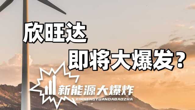 下一个宁德时代?欣旺达,蔚小理集体抢筹入股的二线锂电公司!