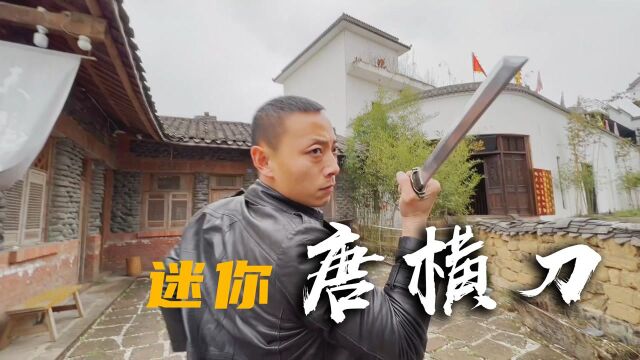 「唐横刀」见过这么迷你的唐刀吗,一起感受传武带来的冲击力!