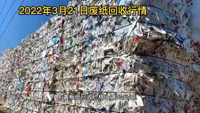 废纸价格2022年3月21日废纸回收价格厂家报价行情调整信息