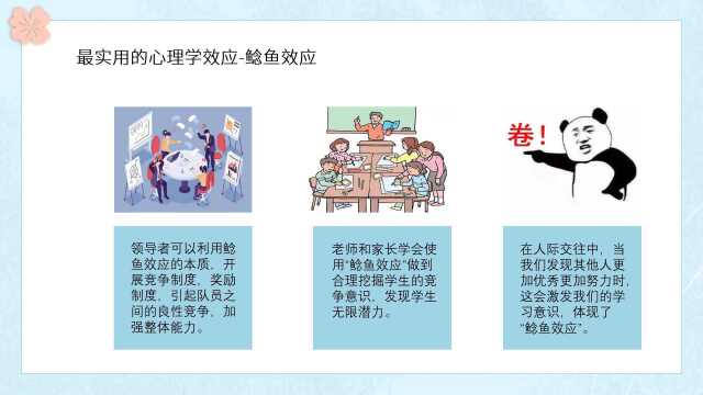 上财学生作品|鲶鱼效应