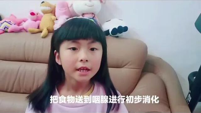 地球护卫队环境小卫士