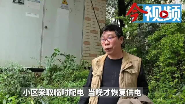 变电箱故障,柳州这小区全部停电!谁来修?