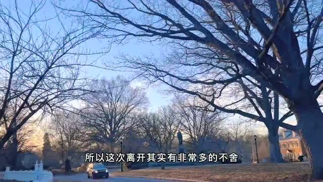 【申请体验】从美国到日本留学,感谢我温柔可爱秒回信息的文案老师