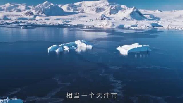 ZOL蔡小鹏:发现平衡,在企业发展与国家双碳战略之间