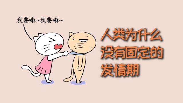 人类为什么,没有固定的发情期?#科普 #冷知识 #男生必看