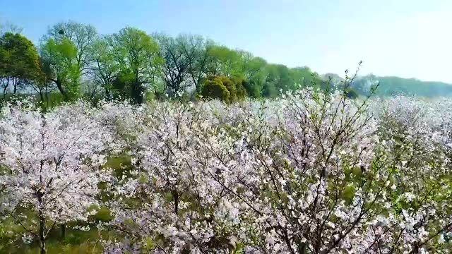 抗疫有我|勇毅前行,持续鏖战,致敬奋战一线的“抗疫白”