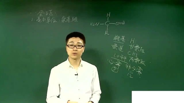 高中生物全套视频课程,高一生物必修一重要知识点讲解:细胞的组成物质之蛋白质