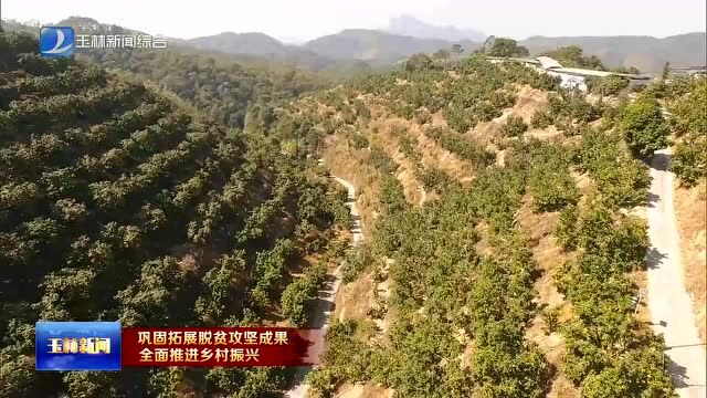 容县:现代农业助推乡村振兴